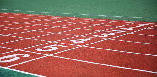 标准田径场的400米跑道长多少米?宽多少米