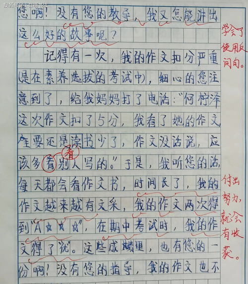 仙人掌作文