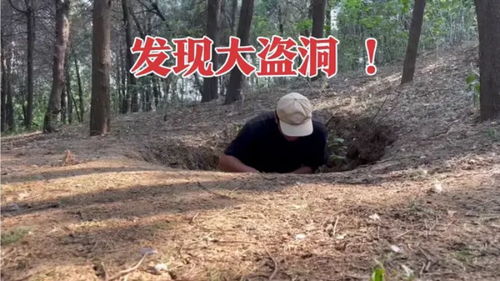 四处碰壁，四处的反义词