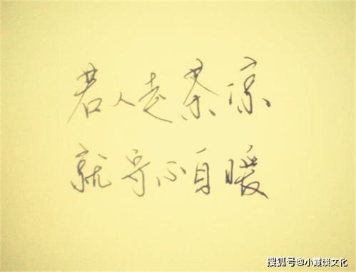 痴人说梦的意思
