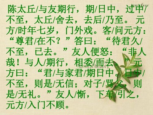 陈太丘与友期文言文翻译简短