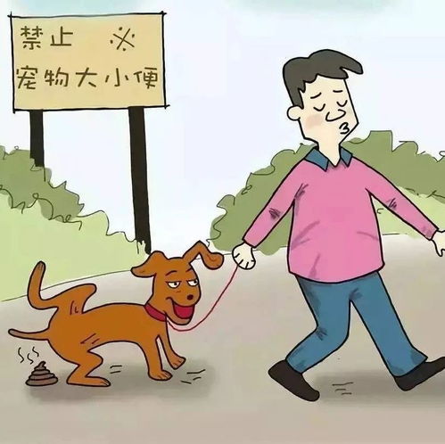 反感的意思是什么