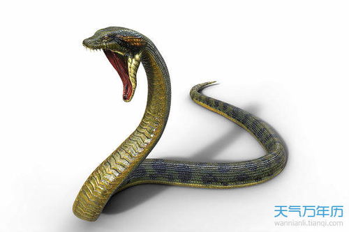 生肖属蛇的出生年份 属蛇的什么年份出生