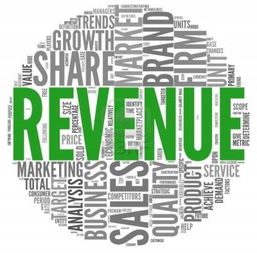 revenue是可数名词吗?