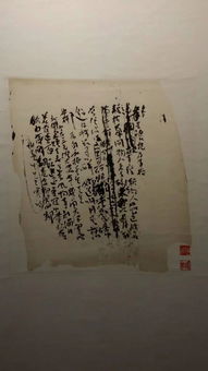 吴震寰，震寰宇什么意思
