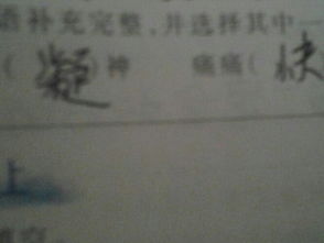 目不转睛造句四年级，目不转睛造句四年级下册