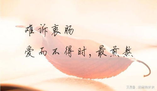 心如刀绞词语