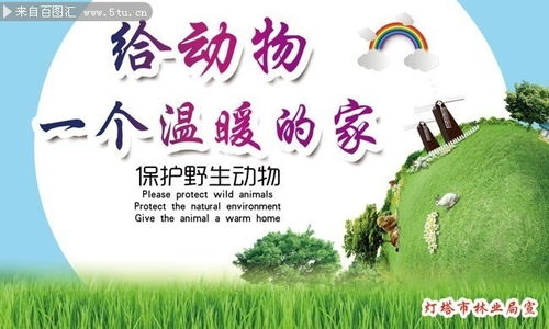 呼吁大家保护野生动物宣传标语，保护野生动物宣传标语简短