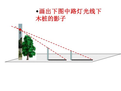 平行投影与中心投影之间的区别是