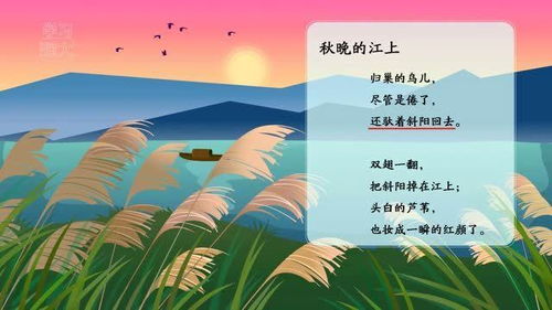 《秋晚的江上》现代诗内容是什么?