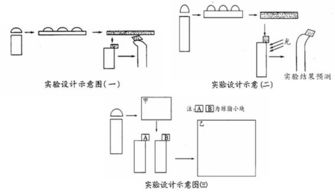 GA是什么激素，iaa是什么激素高中