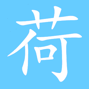 荷字笔顺笔画，圆字笔顺