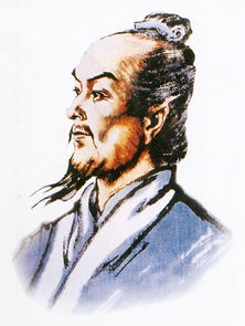 张衡的资料20字左右，张衡的资料卡