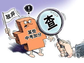 中考加分录取是咋计入成绩的，中考加分乐器18种