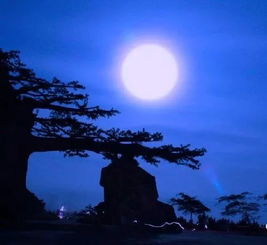 秋夜寄丘二十二员外，秋夜寄邱员外古诗注音