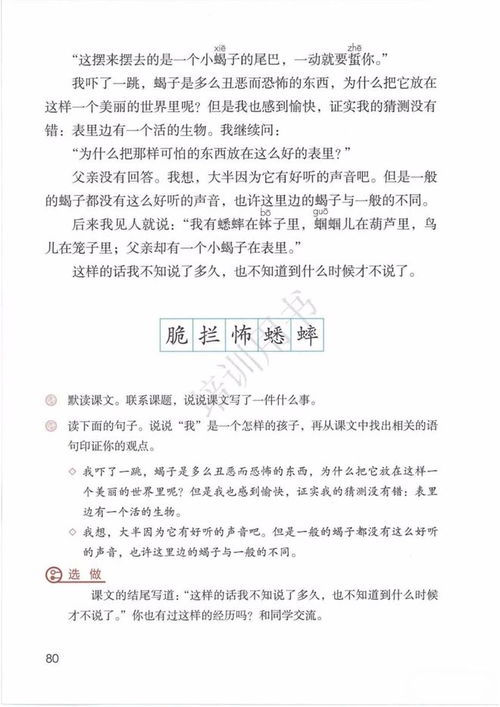 《表里的生物》的主要内容是什么?