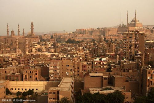 小学英小学英语cairo是啥子意思?
