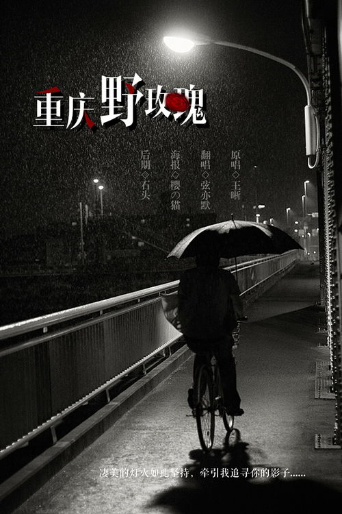 重庆野玫瑰歌词表达了什么，重庆野玫瑰洛阳白牡丹