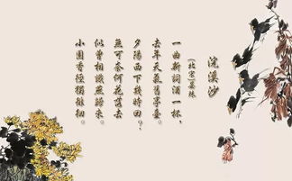弟子规圣人训什么意思