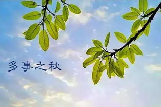 多事之秋是什么意思