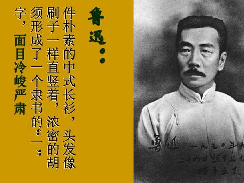 回忆鲁迅先生作者介绍简短，回忆鲁迅先生的教案设计