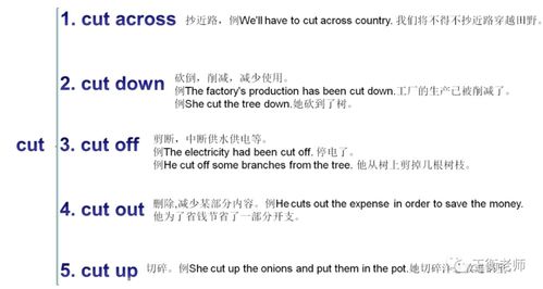 割可以组什么词?