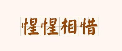 英雄心心相惜是什么意思，心心相印是什么意思