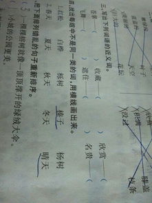 观赏的近义词观看对吗，明艳的近义词