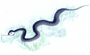 2013年蛇宝宝取名大全，2013年蛇年女宝宝起名