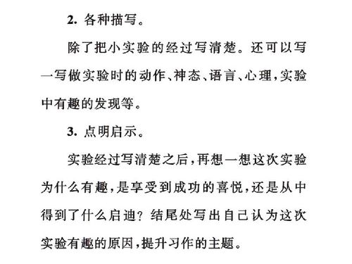 我做了一项小实验作文