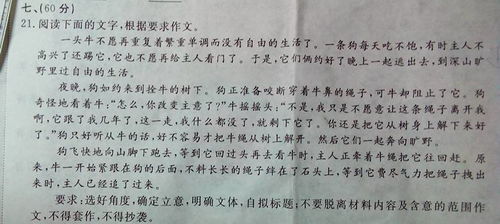 全国高考满分作文800字10篇
