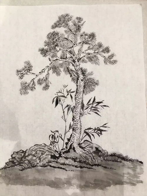 松风树脂，松风吹解带小说