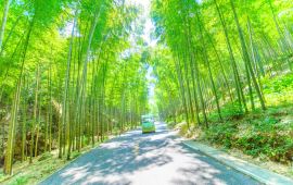 宜兴天气15 天，宜兴天气24小时实时
