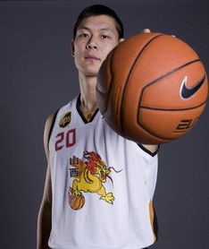 尚平多累自归难的解释尚平多累自归难的解释是什么