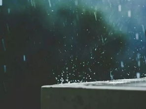 雨的随想引发了作者哪些随想，雨的随想概括说说雨引发了作者的哪些随想