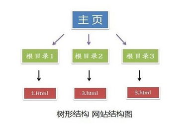 主的结构是什么结构的字，主字的结构