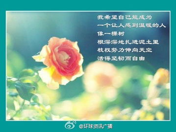 温暖的话语，温暖的话是什么意思