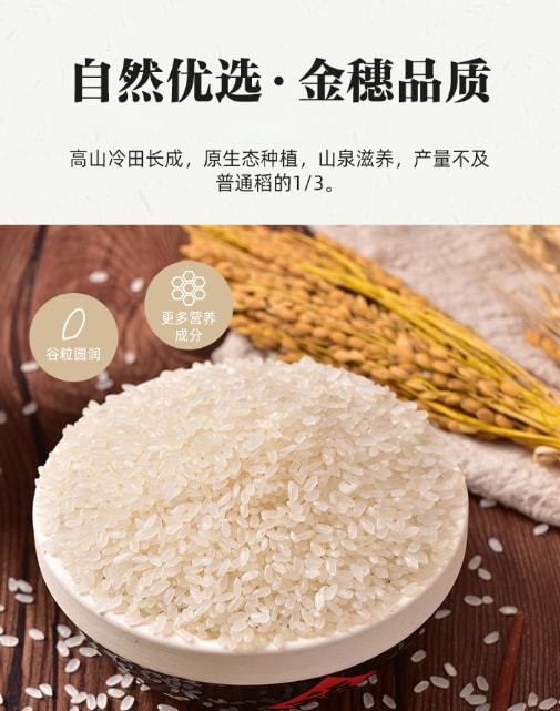大禾米是一种什么米