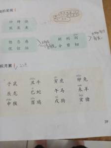 寨拼音和组词组，寥拼音