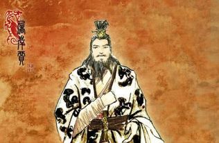 赵朔芷音刘闻莺小说全文阅读，赵朔的简介