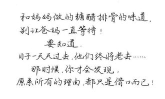 皓月当空什么意思