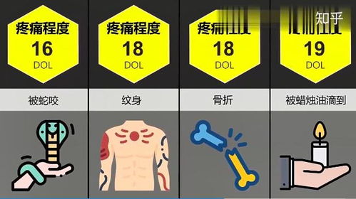 破裂的意思
