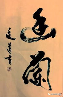 文道专升本，文道瑜伽