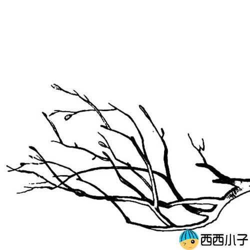 中国画树枝的画法