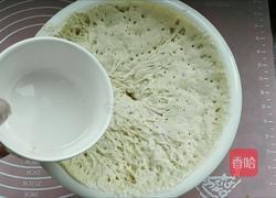 面肥是什么啊,