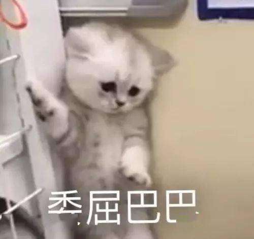 说多了都是泪图片，不说了,说多了都是泪