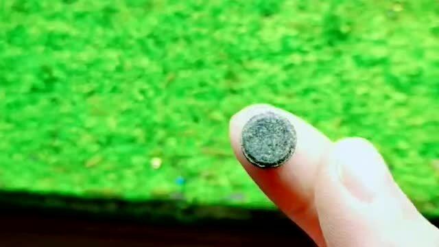 独特的什么决定了我国教育必须走自己的道路，每种植物都有自己独特的什么