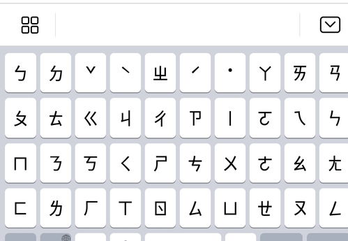 粉拼音怎么拼写