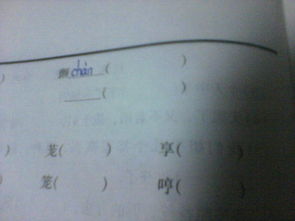 颤的多音字组词有哪些?