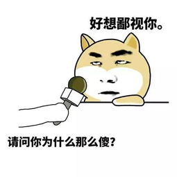 鄙视你的表情包，鄙视你图片 手势
